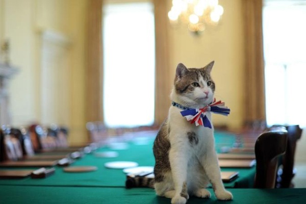 PM Inggris Datang dan Pergi, Tapi Larry Kucing Tetap Tinggal