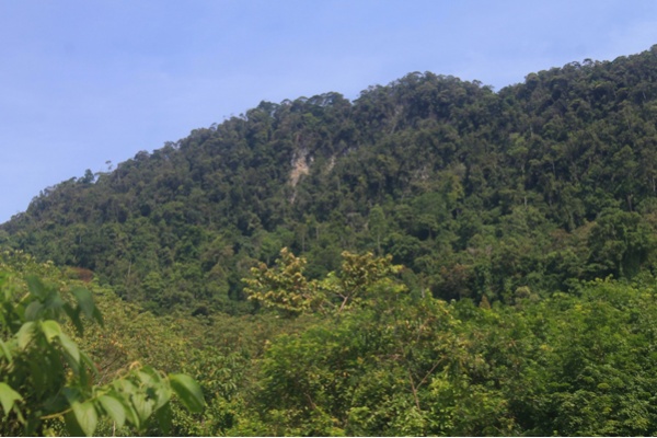 Tolak Tambang, Warga Desa Kaloy Gugat Bupati Aceh Tamiang