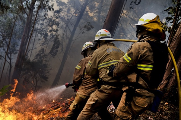 3 Orang Tewas dalam Kebakaran Lahan di Portugal