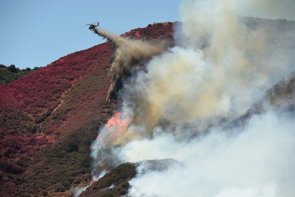 Kebakaran Hutan di AS, Kastil Hearst Ditutup Sementara