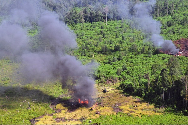 Pemerintah Nyatakan Perang Terhadap Pembakaran Lahan