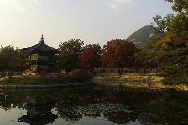 Sidang WCC: Ziarah Perdamaian di Korea