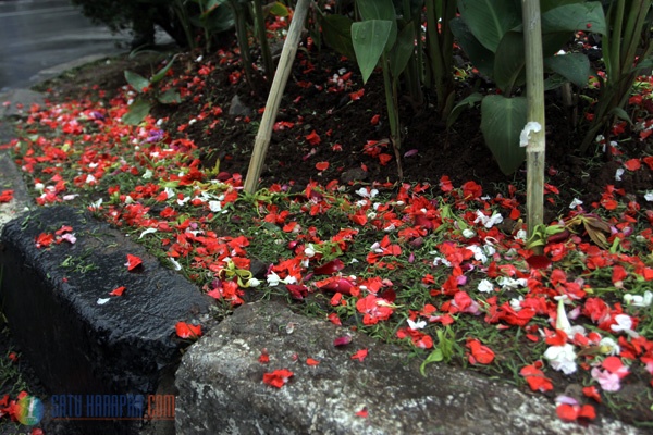 Aksi Tabur Bunga Mengenang 1 Tahun Bom Thamrin 