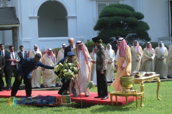 Tanam Pohon Ulin, Simbol Kuatnya Hubungan RI-Arab Saudi