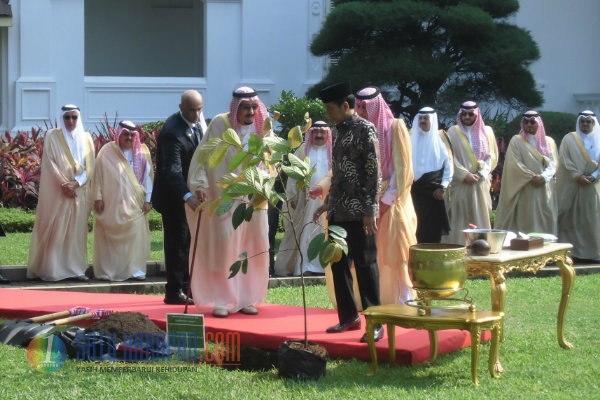 Tanam Pohon Ulin, Simbol Kuatnya Hubungan RI-Arab Saudi