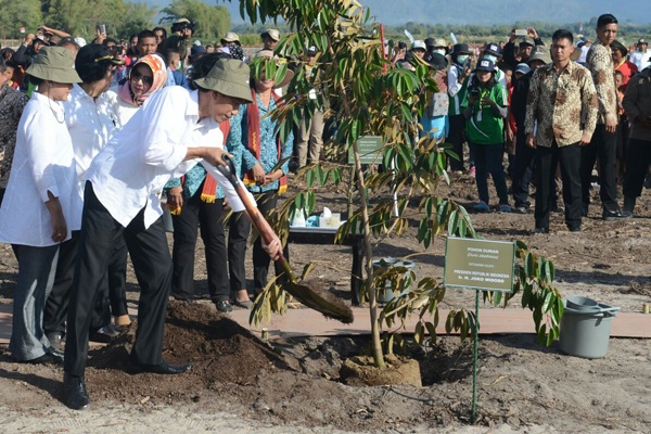 Jokowi Ajak Warga Hijaukan Kembali Kawasan Danau Toba