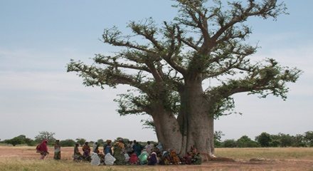 ANC: Mandela Adalah Pohon Boabab Yang Rubuh, Tetapi Menyuburkan Tanah