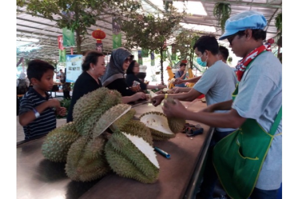 Tur ke Bangkok: Tak Afdol Jika Tak Mencicip Durian 