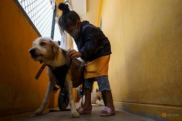 Di Thailand, Tempat Penampungan Melatih Anjing Cacat