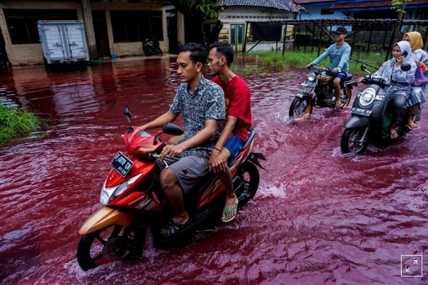 Air Berwarna Merah Ketika Banjir Melanda Pekalongan