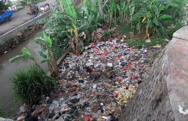 Oknum, Buang Sampah dari Warga ke Lahan Terbuka Hijau