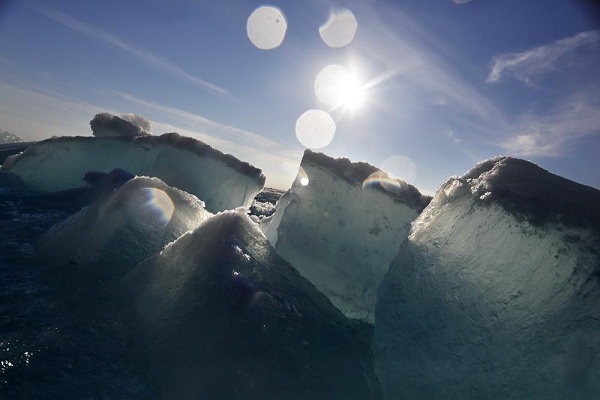 Es di Arktik Terancam Punah, Tanda Ancaman Perubahan Iklim