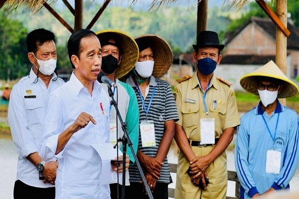 Jokowi: Sampai 2021 Indonesia Belum Impor Beras