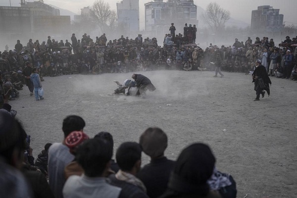 Taliban Larang Olahraga, Tapi Warga Afghanistan Gelar Gulat Tradisional