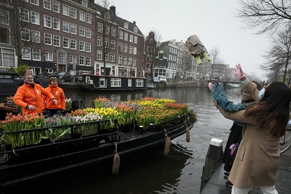 Bunga Tulip Gratis Dibagikan di Amsterdam